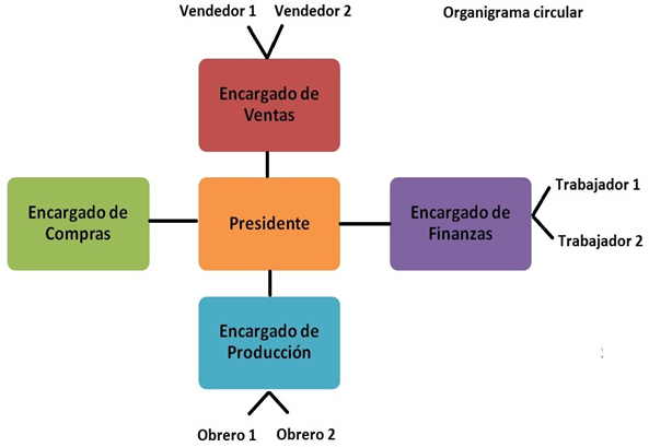 Organigrama circular